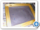 dsci0081